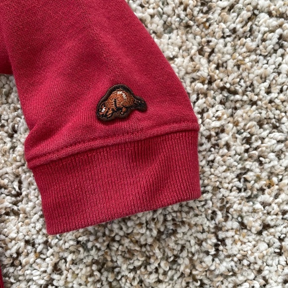 Roots Kids Hoodie - Picture 4 of 4